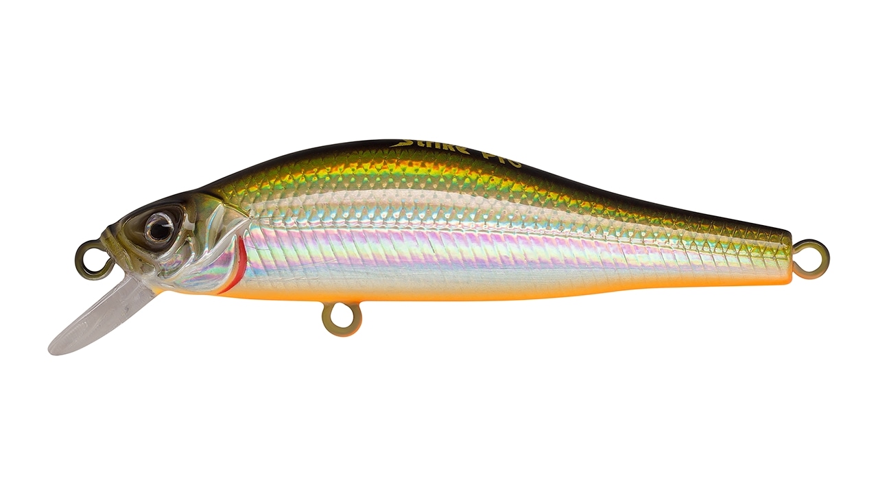 Минноу Strike Pro Archback 100 612T (EG-125B-SP#612T, 100 мм, 20 гр, нейтральный, 0.7-1.5 м)